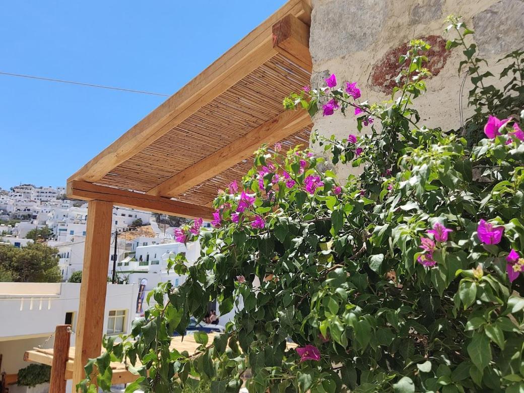 Yalos House Pera Gyalos 外观 照片